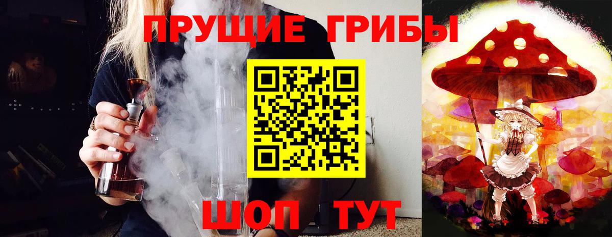 Галлюциногенные грибы Psilocybe Южно-Сахалинск